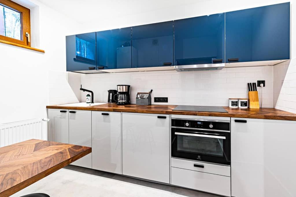 Blick Apartments - Riverview Soft Loft ズゴジェレツ エクステリア 写真